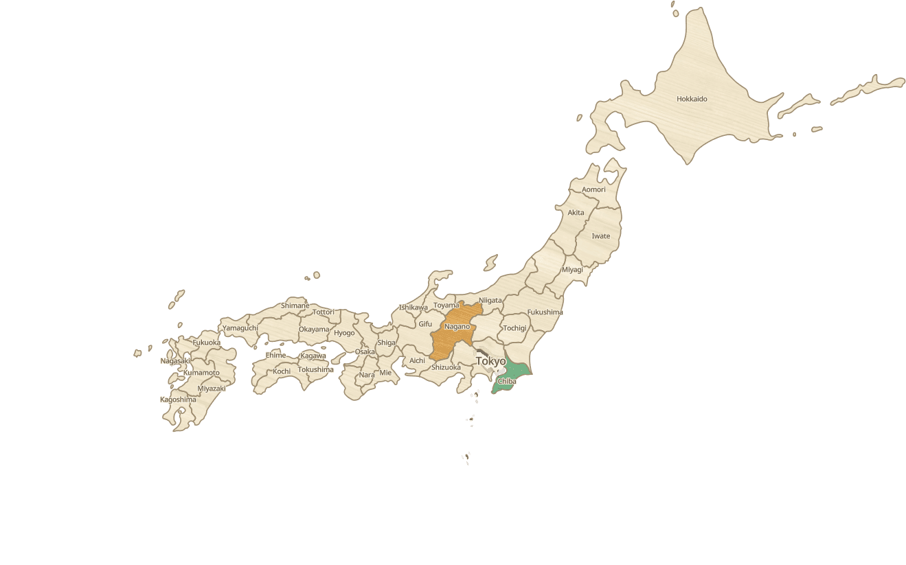 Japan as a wooden prefecture puzzle, with the Tokyo piece raised